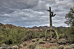 photo thumbnail #4
