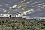 photo thumbnail #8