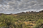 photo thumbnail #10