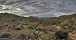 photo thumbnail #12
