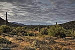 photo thumbnail #13