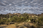 photo thumbnail #14