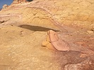 photo thumbnail #14