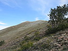 photo thumbnail #12