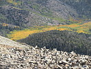 photo thumbnail #15