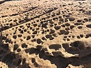 photo thumbnail #12
