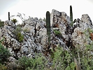 photo thumbnail #6