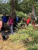 photo thumbnail #7