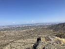 photo thumbnail #2