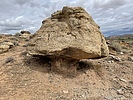 photo thumbnail #9