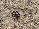 photo thumbnail #10