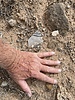 photo thumbnail #11