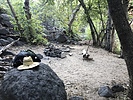 photo thumbnail #2