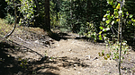 photo thumbnail #15