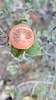 photo thumbnail #13