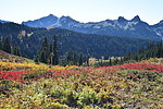 photo thumbnail #10