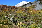 photo thumbnail #14