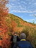 photo thumbnail #8
