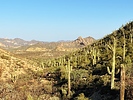 photo thumbnail #5