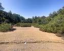 Featured Full Photo