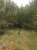 photo thumbnail #14