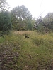 photo thumbnail #13
