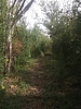 photo thumbnail #11