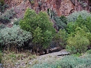 photo thumbnail #4