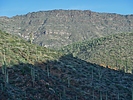 2021-10-04 :3: Trail 1533 Loop TNF :: LosDosSloFolks