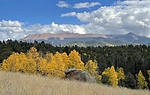 photo thumbnail #13