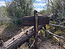 photo thumbnail #13