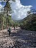 photo thumbnail #1