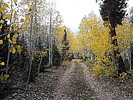 photo thumbnail #11