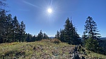 photo thumbnail #12