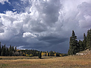 photo thumbnail #14