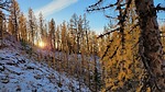 photo thumbnail #4