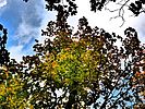 photo thumbnail #3
