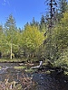 photo thumbnail #12