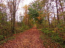 photo thumbnail #1
