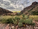 photo thumbnail #7