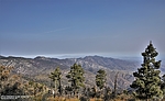 photo thumbnail #12