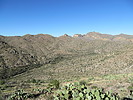 photo thumbnail #6