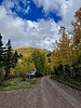 photo thumbnail #5