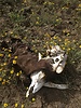 photo thumbnail #9