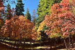 photo thumbnail #9
