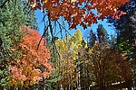 photo thumbnail #12