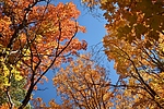 photo thumbnail #14
