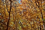 photo thumbnail #15