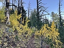 photo thumbnail #5