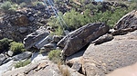 photo thumbnail #5